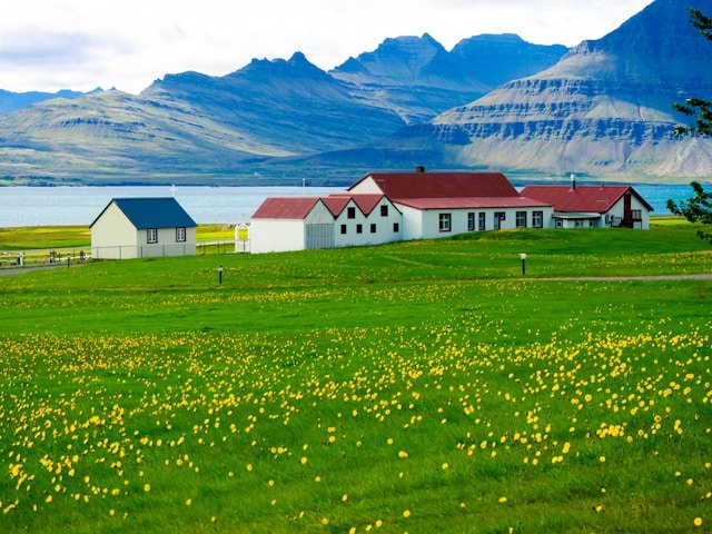 ICELAND